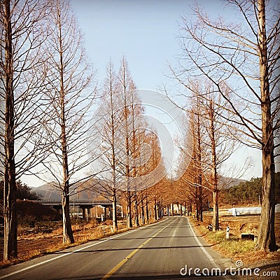 street scene in late autumn in the jeolla province area of â€‹â€‹south korea Stock Photo